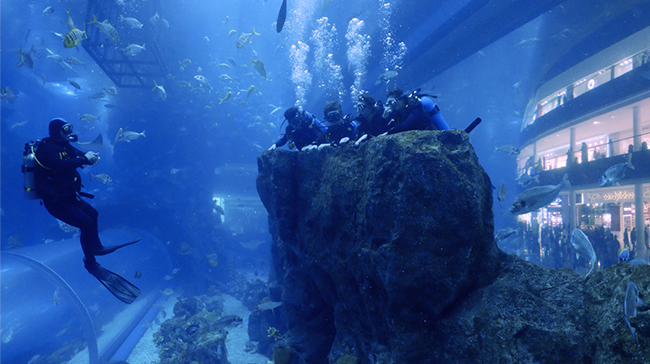 Scuba Diving Center in Dubai