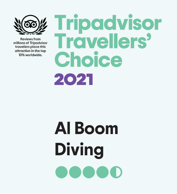 Tripadvisor Travellers' Choice Award for 2021