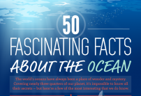 50 Fascinating Facts About The Ocean