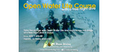 Open Water Lite Course with a Free Night Dive