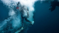 12 Diving Breaks To Explore The Deep Blue